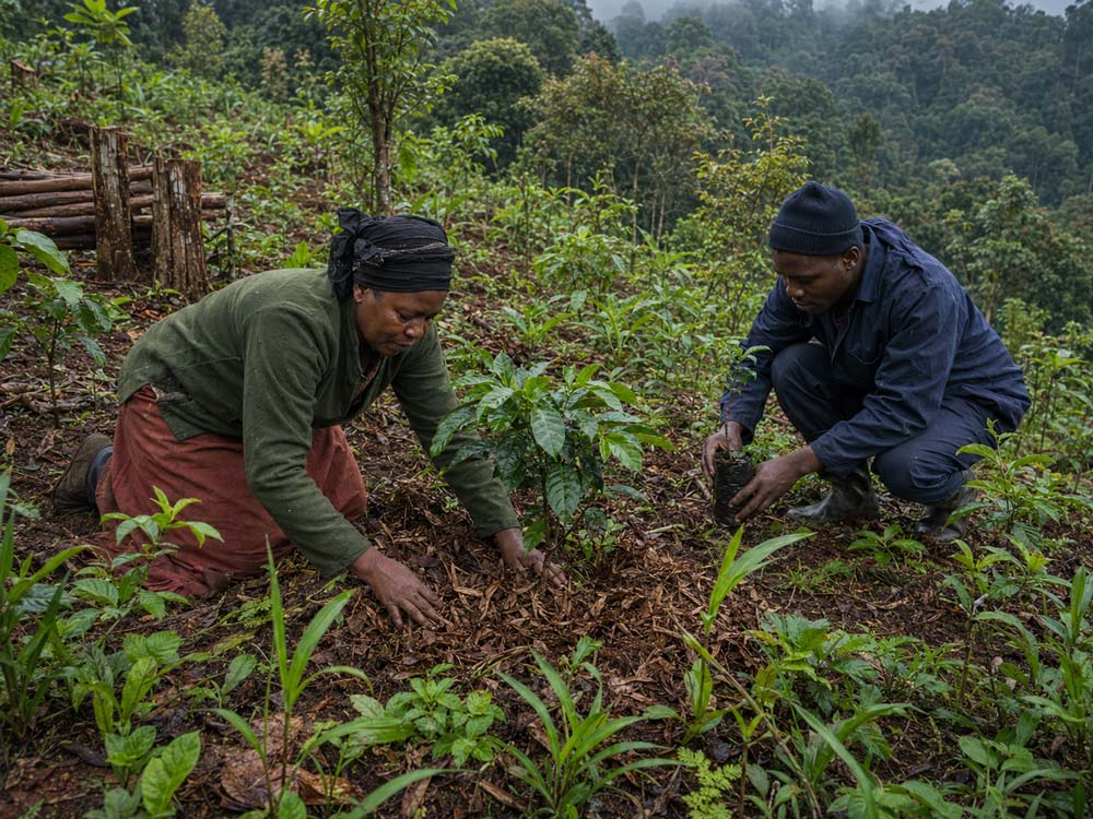 Marian&rsquo;s Eden, Uganda